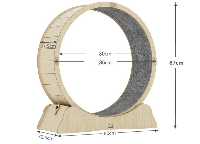 Roue de course